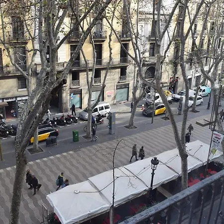 호스탈 미미 라 람블라스 게스트하우스 *