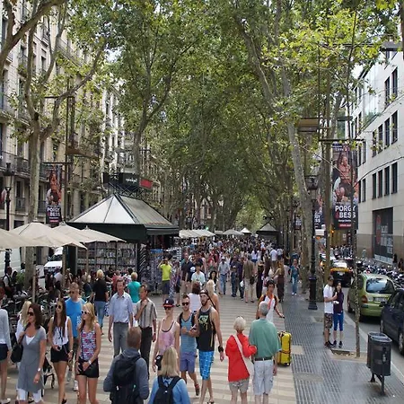 호스탈 미미 라 람블라스 게스트하우스