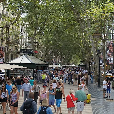 호스탈 미미 라 람블라스 게스트하우스 *