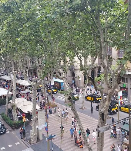 Guest house Mimi Ramblas *